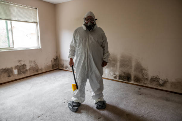 Certified Mold Removal in Shelbyville, IN